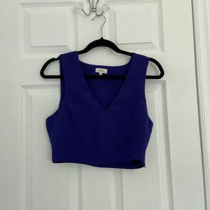 Aritzia Wilfred Blue Crop Top (Small)